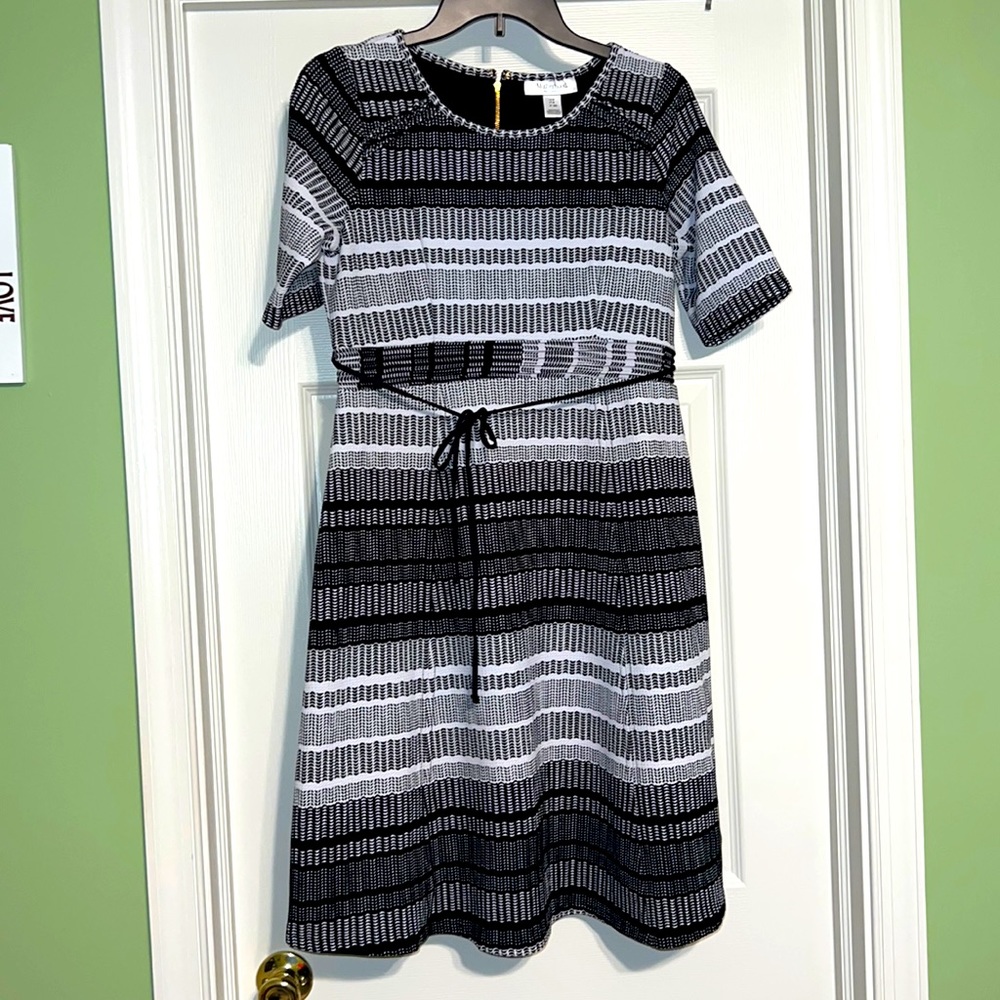 Motherhood Maternity Dress
